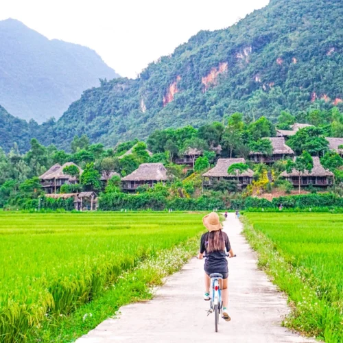 Bí Kíp Du Lịch An Lạc Resort 2 Ngày 1 Đêm Hoàn Hảo