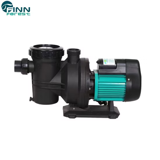 Bơm bể bơi – Giải pháp vận hành hiệu quả cho hồ bơi gia đình và công trình lớn